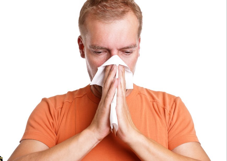 The Truth About Common Cold Remedies: What Works and What Doesn't